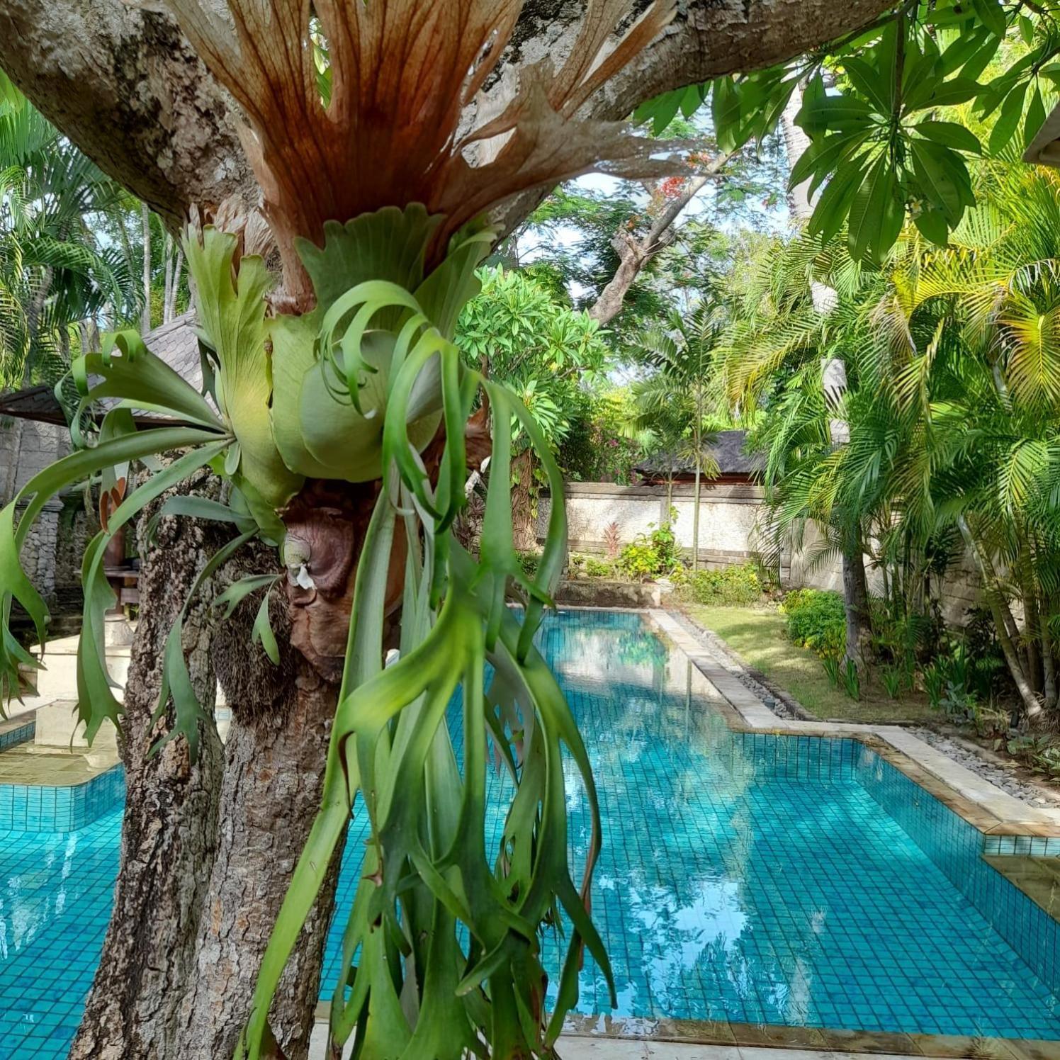 The Royal Beach Seminyak Exterior foto